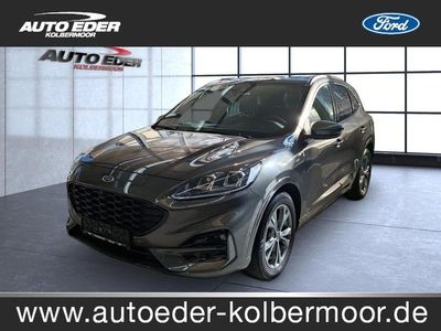 Gebraucht Ford Kuga ST-Line X 150 PS (110 kW) 2021 Grau SUV