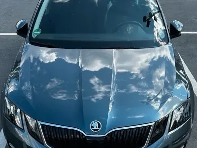 Gebraucht Skoda Octavia 150 PS (110 kW) 2019 Grau Kombi