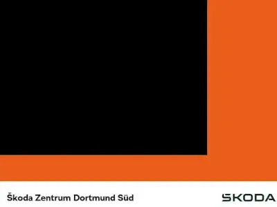 Used Skoda Fabia Essence 95 HP (69 kW) 2025 Black Hatchback