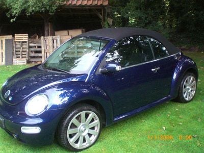 VW Beetle