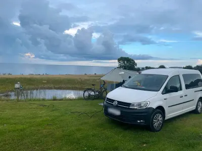 Brugt VW Caddy Maxi 102 HK (75 kW) 2019 Hvid MPV