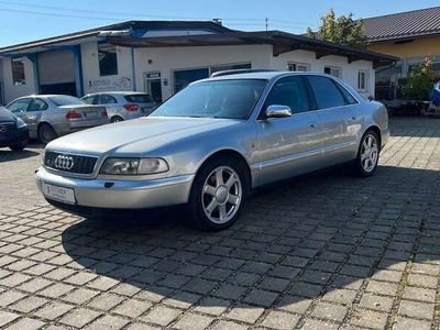 gebraucht Audi S8 HANDSCHALTER / TOP ZUSTAND / Original