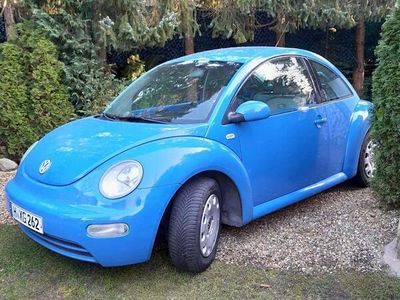 VW Beetle