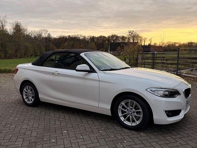 Gebraucht BMW 220 Advantage 184 PS (135 kW) 2016 Weiß Cabrio