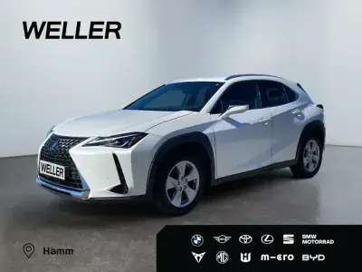 Second-hand Lexus UX 250h 184 CP (135 kW) 2021 Alb SUV
