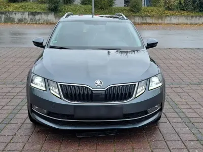 Gebraucht Skoda Octavia Premium Edition 116 PS (85 kW) 2018 Grau Kombi