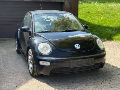 VW Beetle