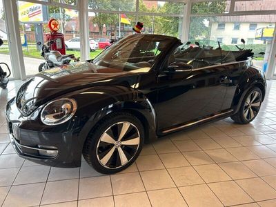 VW Beetle