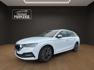 Gebraucht Skoda Octavia Style 150 PS (110 kW) 2023 Moonweiss metallic Kombi