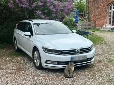 Brugt VW Passat