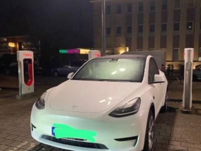 gebraucht Tesla Model Y 