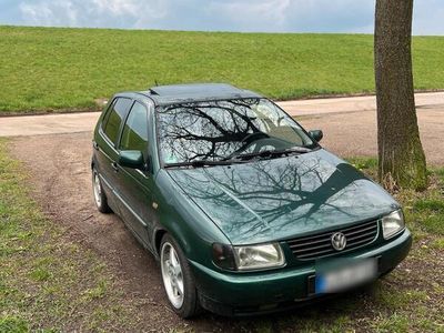 VW Polo
