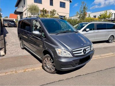 Mercedes Viano