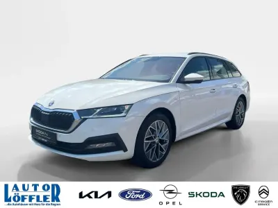 Gebraucht Skoda Octavia Ambition 150 PS (110 kW) 2023 Candyweiß Kombi
