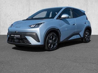 Gebraucht BYD Dolphin Surf Comfort 150 kW (204 PS) 2025 Ice blue Kleinwagen