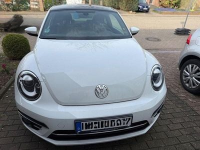 Gebraucht VW Beetle Allstar 105 PS (77 kW) 2017 Weiß Kleinwagen