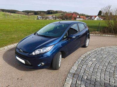 Usata Ford Fiesta Trend 82 CV (60 kW) 2011 Blu Utilitaria