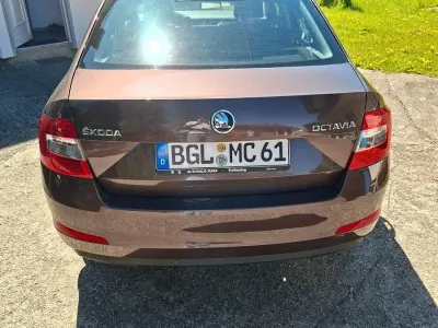 Używany Skoda Octavia Joy 116 KM (85 kW) 2016 Brązowy Kombi