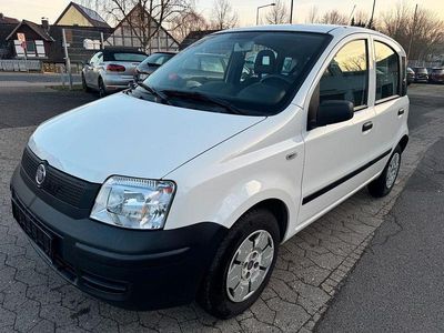 Gebraucht Fiat Panda Active 54 PS (39 kW) 2009 Weiß Kleinwagen