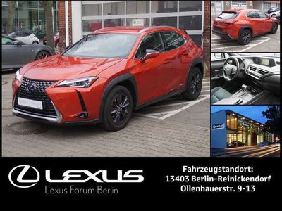 gebraucht Lexus UX 250h Launch Edition * Navigation * ACC/PCS *
