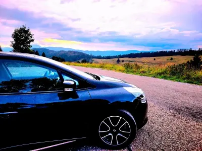 Brugt Renault Clio IV
