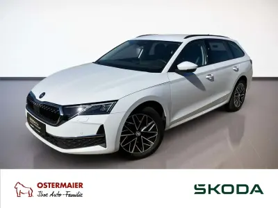 Używany Skoda Octavia Ambiente 150 KM (110 kW) 2025 Biały Kombi