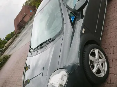 Gebraucht Fiat Punto Evo 77 PS (56 kW) 2010 Grau Kleinwagen
