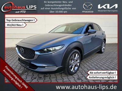 gebraucht Mazda CX-30 Selection 2WD | HUD | ACC | Navi Selection 2WD