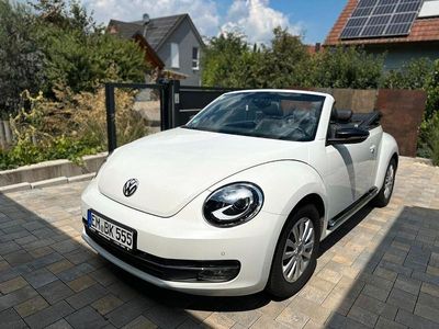 VW Beetle