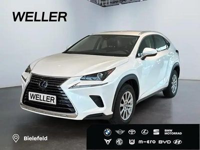 Weiss Gebraucht 2021 Lexus NX300h SUV | 29.680 € (Superpreis)