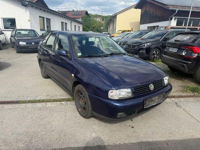 VW Polo
