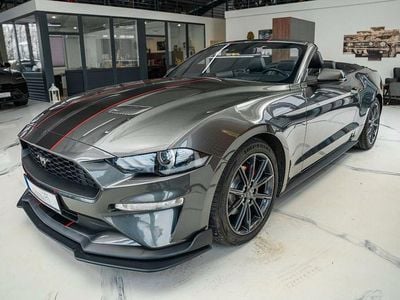 Gebraucht Ford Mustang Premium 290 PS (213 kW) 2025 Grau Cabrio