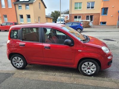 gebraucht Fiat Panda 2012 !TÜV NEU! Ohne Klima!