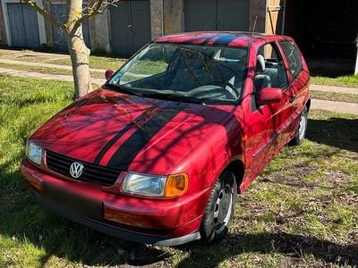 Usata VW Polo 50 CV (36 kW) 1997 Rosso Utilitaria