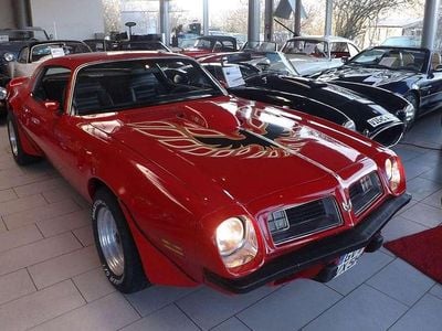 Other Gebraucht 1975 Pontiac Trans Am Coupé | 31.500 €