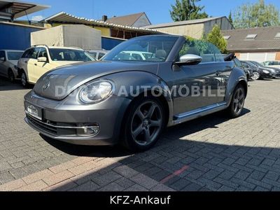 VW Beetle