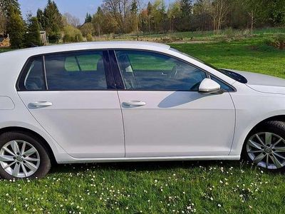 Usata VW Golf VIII Comfortline 86 CV (63 kW) 2020 Bianco Utilitaria