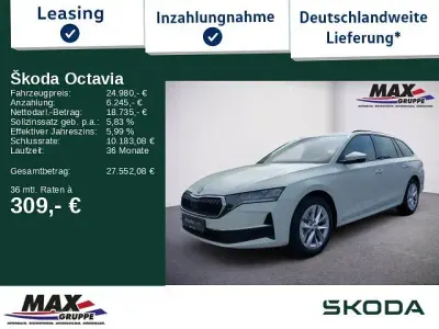 Gebraucht Skoda Octavia Selection 116 PS (85 kW) 2024 Weiß Kombi