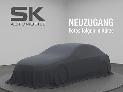 Grau Gebraucht 2009 Opel Zafira Van / Kleinbus | 4.999 € (Etwas zu teuer)