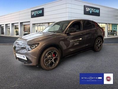 Gebraucht Alfa Romeo Stelvio Veloce 209 PS (153 kW) 2026 SUV
