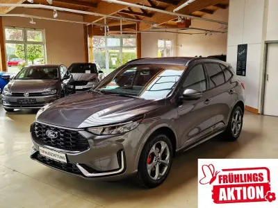 Neu Ford Kuga ST-Line X 186 PS (136 kW) 2026 Grau SUV