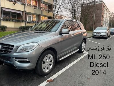 Andere farben Gebraucht 2014 Mercedes ML250 SUV | 16.500 € (Guter Preis)