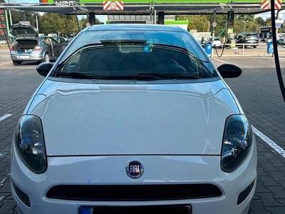 Gebraucht Fiat Punto 80 PS (58 kW) 2013 Weiß Kleinwagen