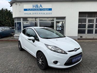 Gebraucht Ford Fiesta Trend 60 PS (44 kW) 2009 Weiß Kleinwagen