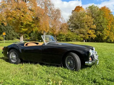 Gebraucht MG 1600 79 PS (58 kW) 1961 Schwarz Cabrio