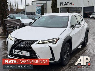 Weiß Gebraucht 2019 Lexus UX 250h Launch Edition SUV | 26.190 € (Teuer)