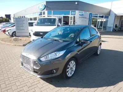 Usata Ford Fiesta Titanium 112 CV (82 kW) 2016 Grigio Utilitaria