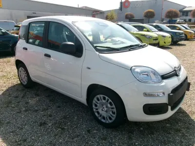 Neu Fiat Panda Icon 65 PS (47 kW) 2026 Weiß Kleinwagen