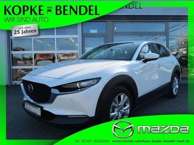 Gebraucht Mazda CX-30 Selection 186 PS (136 kW) 2021 Snowflake white metallic (metallic) SUV