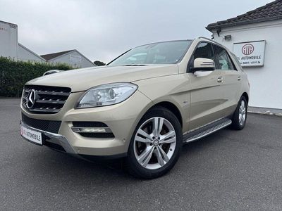 Mercedes ML250